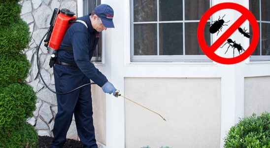 Kayapınar Dezenfeksiyon böcek ilaçlama ve haşere kontrolü — ilaclama-tr.com